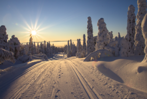Billede af sne og sol om vinteren