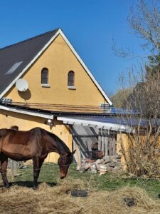 Solen skinner på gult hus med solceller